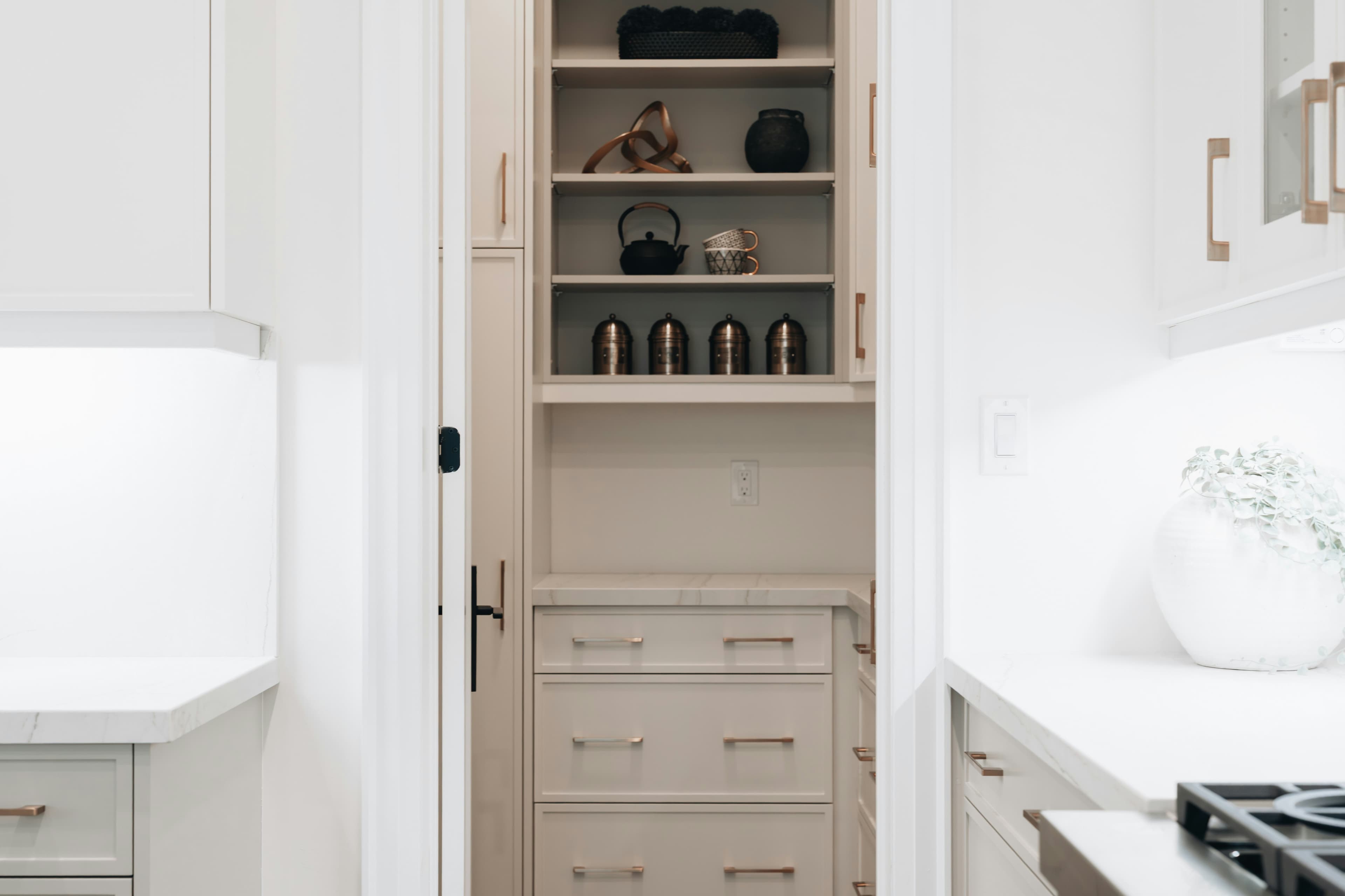 Pantry shelves and enclosed storage